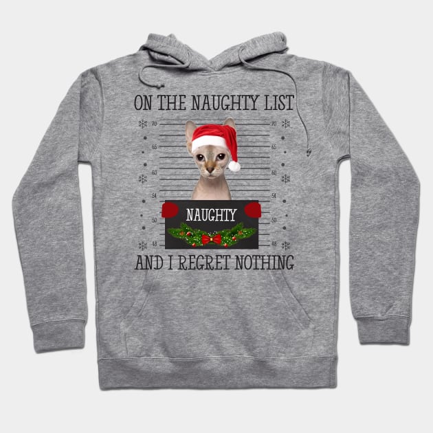 On The Naughty List, And I Regret Nothing Hoodie by CoolTees